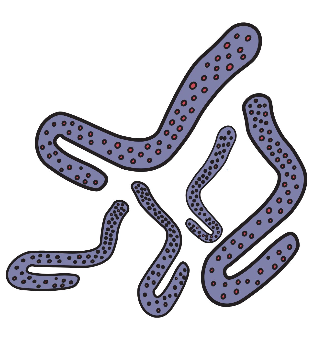 Marburg Virus Outbreak Africa 2025